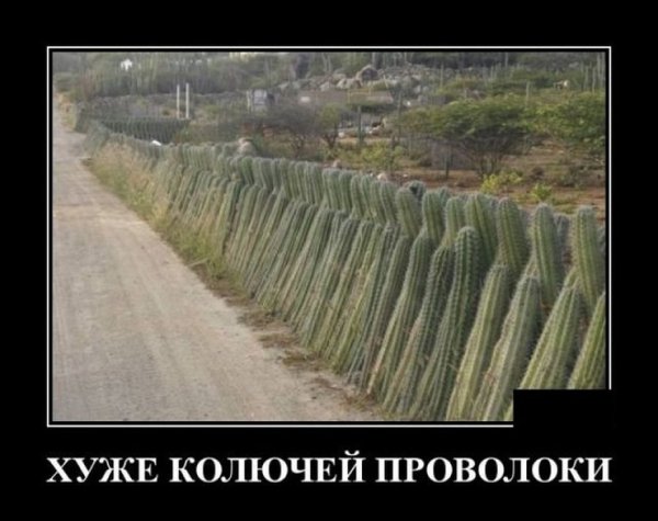 Прикольные демотиваторы