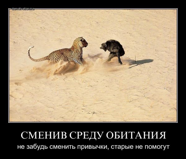Среда день взаимопонимания