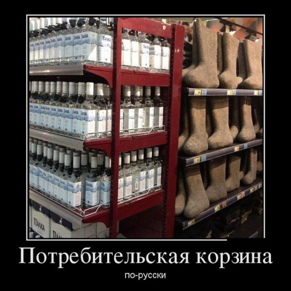 Демотиваторы Триникси
