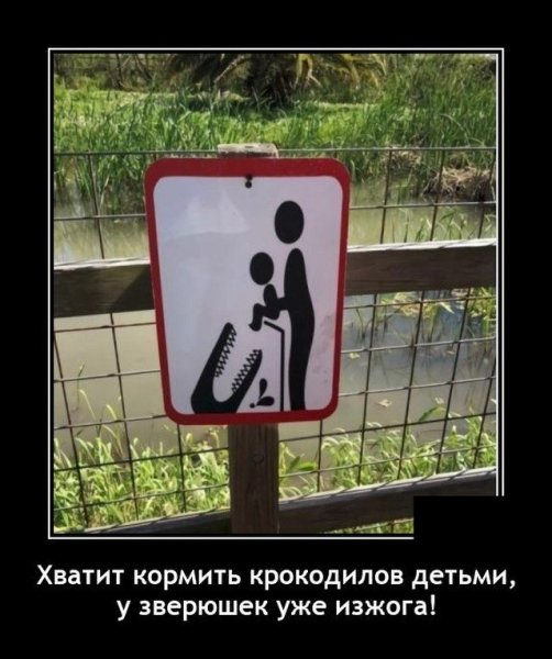 Среда демотиваторы