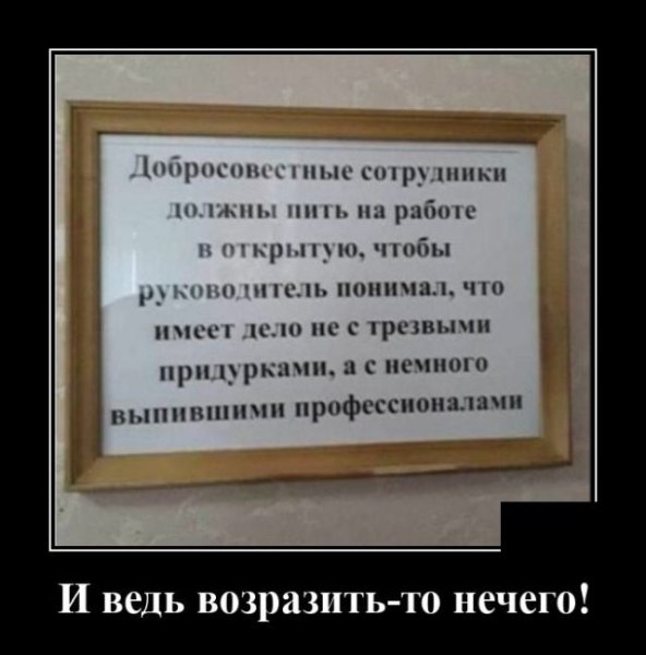 Среда демотиваторы