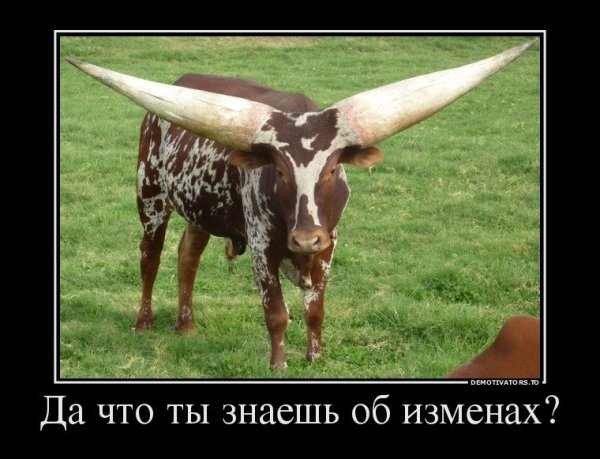 Среда демотиваторы