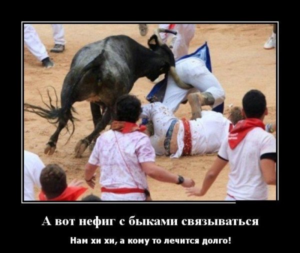 Среда демотиваторы