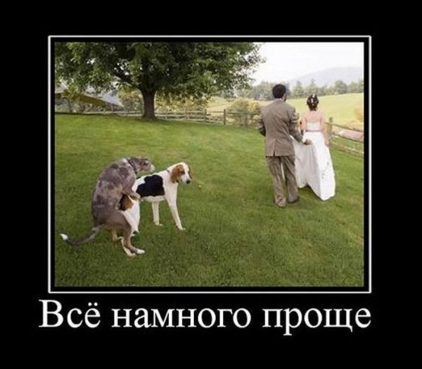 Среда демотиваторы