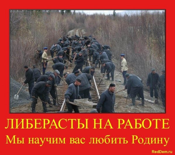 Путин ведет корюшку на нерест демотиватор