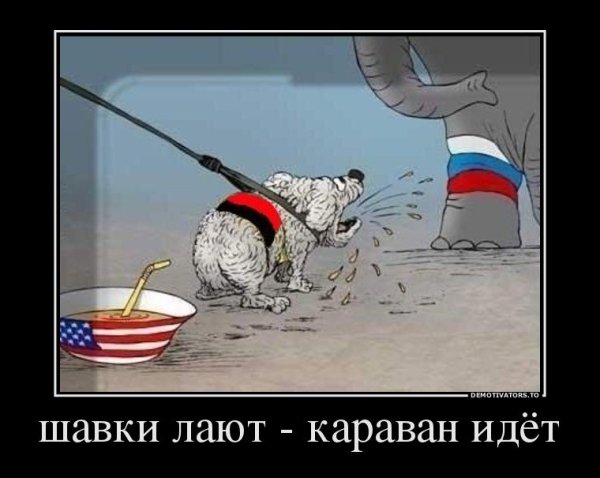 День России демотиваторы