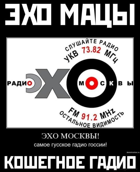 Эхо Москвы карикатура