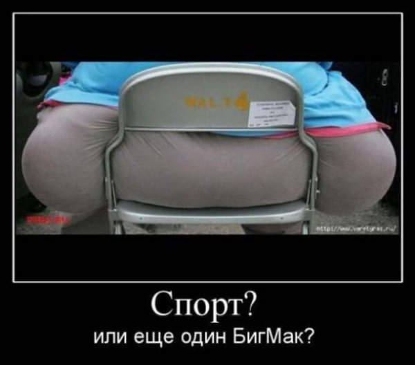 Демотиваторы про похудение смешные