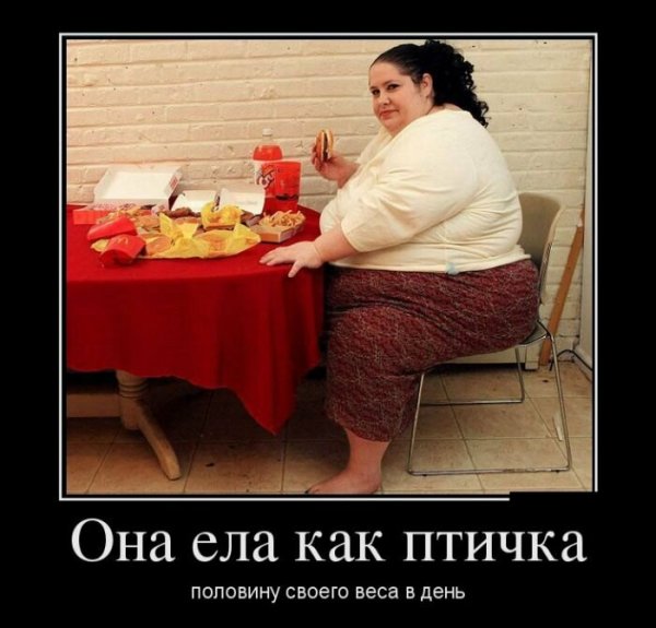 Прикольные шутки про диету