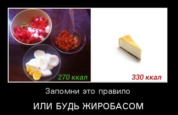Демотиваторы смешные про диету