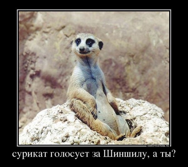 Пятница демотиваторы