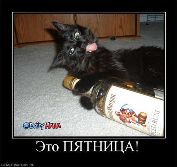 Пятничные демотиваторы