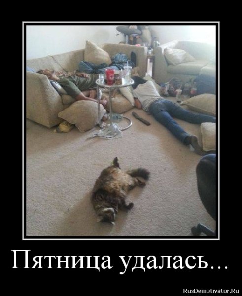 Пятница демотиваторы