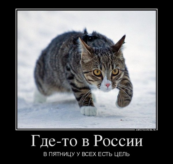 Пятница демотиваторы