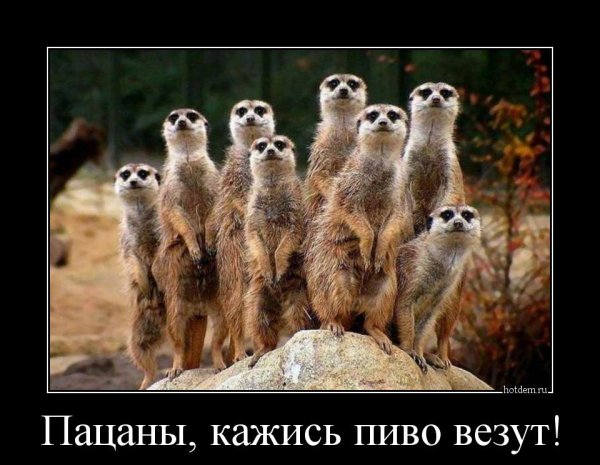 Пятница приколы