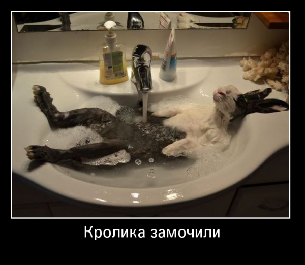 Пятница демотиваторы