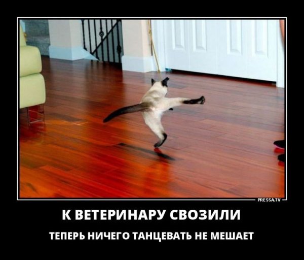 Приколы про пиво