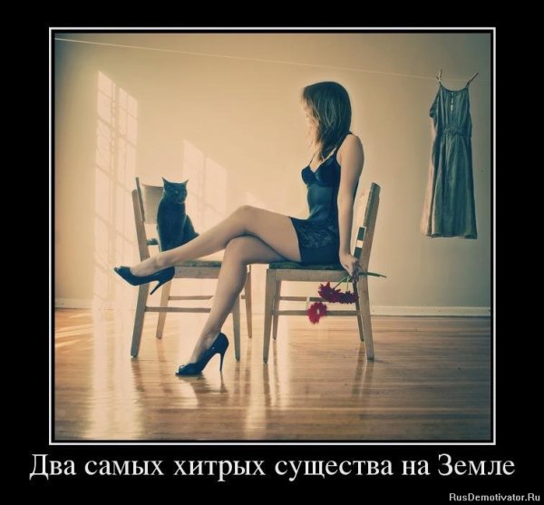 Демотиваторы про женщин