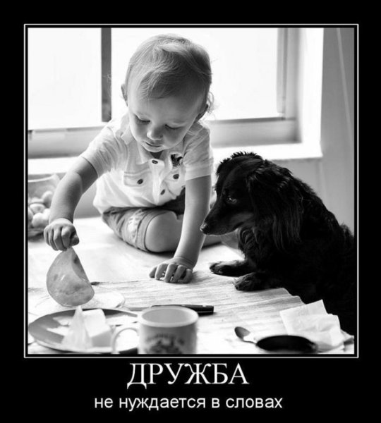 Весёлые картинки демотиваторы