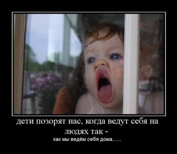 Собака демотиватор
