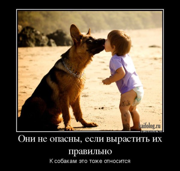Малыши демотиваторы