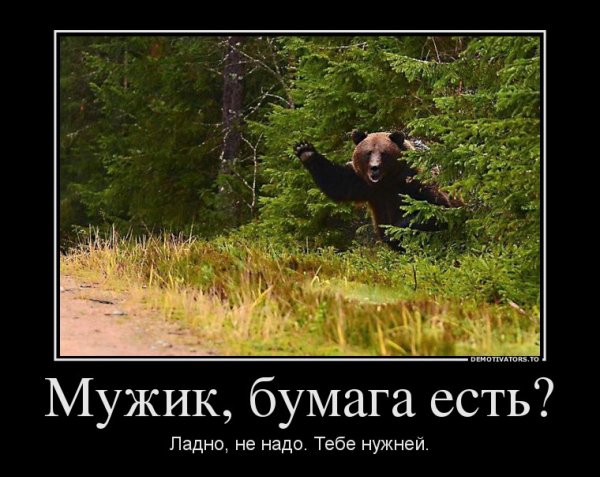 Медведь демотиватор