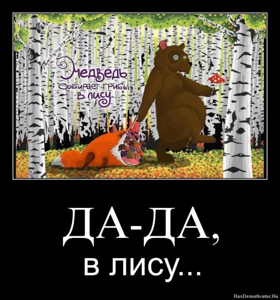 Медведь демотиватор