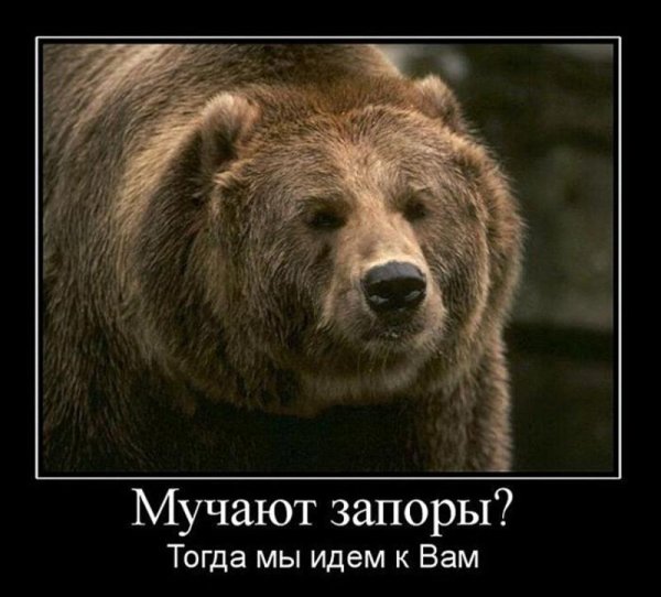 Если встретил медведя в лесу прикол