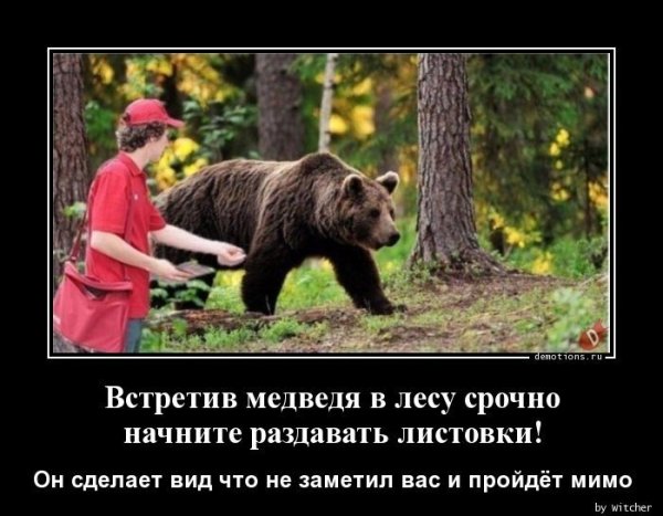 Среда об Тания бурного медведя