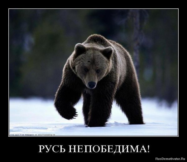 Шишкин Иван Иванович мишки в Сосновом Бору