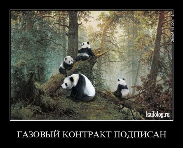 Демотиваторы про охоту
