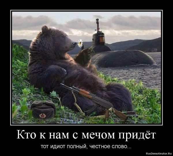 Медведь демотиватор