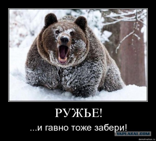 Медведь несет бревно