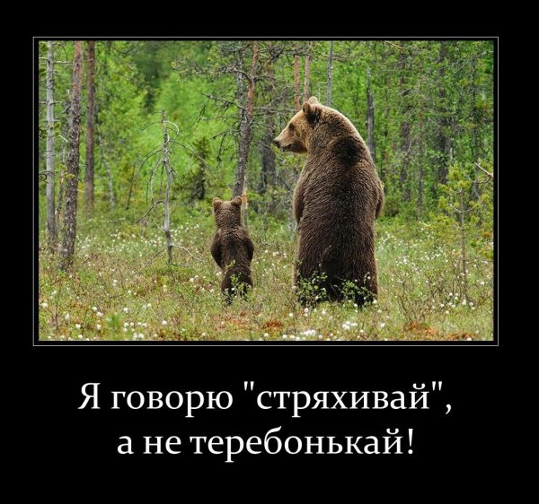 Демотиваторы фантастика
