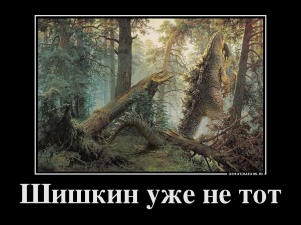Встреча с медведем