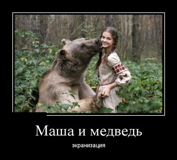 Демотиваторы с медведем смешные