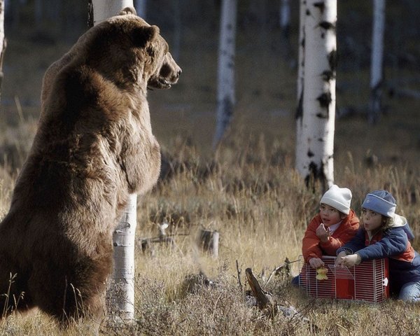 Человек убегает от медведя