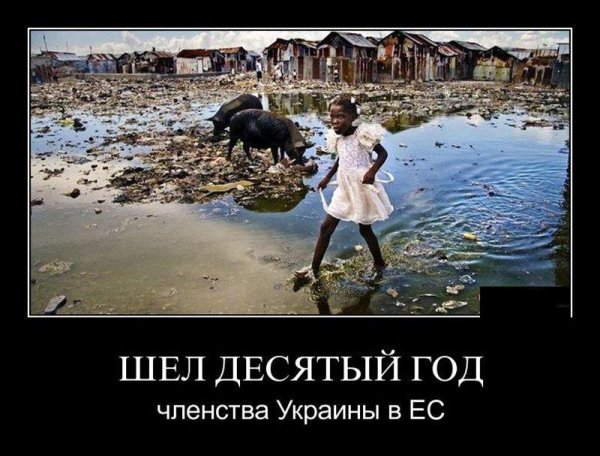 Демотиваторы про Украину