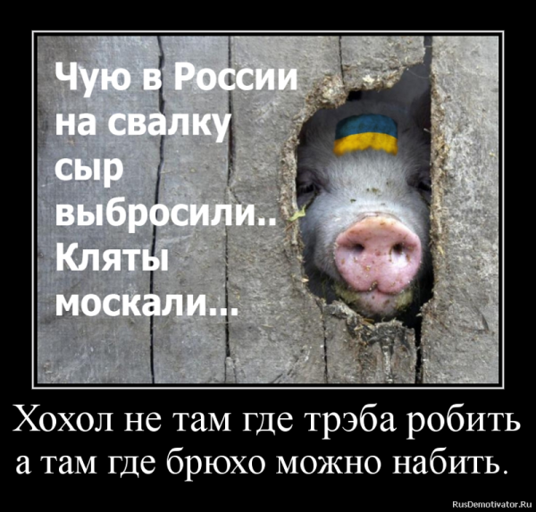 Хохлы приколы