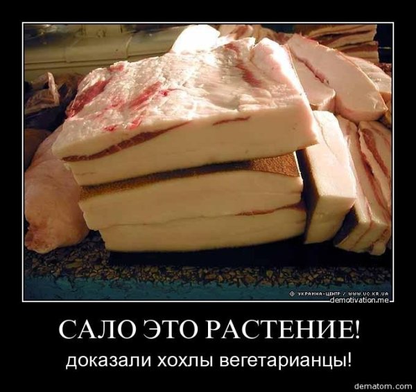 Хохол и сало
