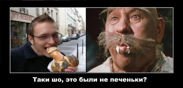 Приколы про Хохлов