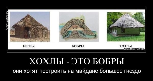 Украинский язык демотиваторы