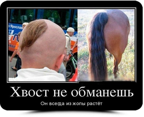 Хохлы приколы