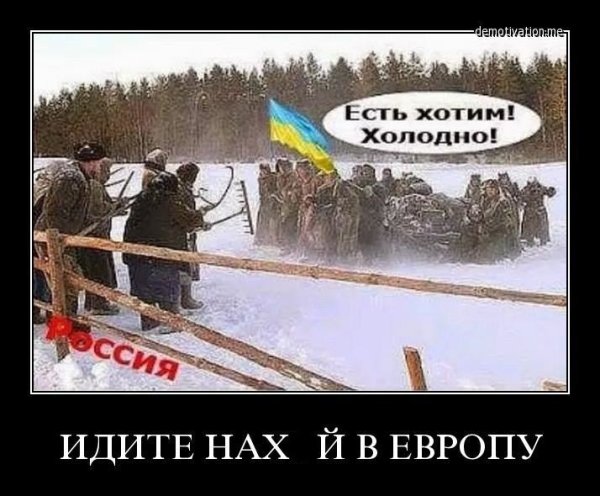 Украина в ем демотиватор