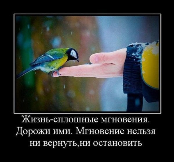 Демотиваторы про жизнь