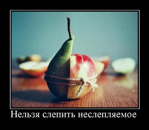 Демотиваторы про жизнь
