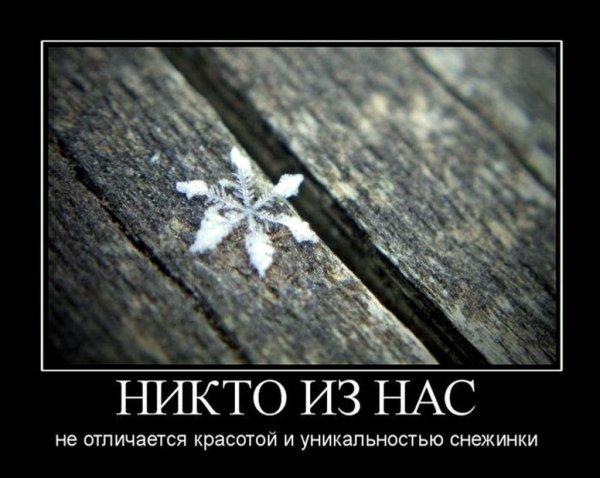 Красивые демотиваторы со смыслом