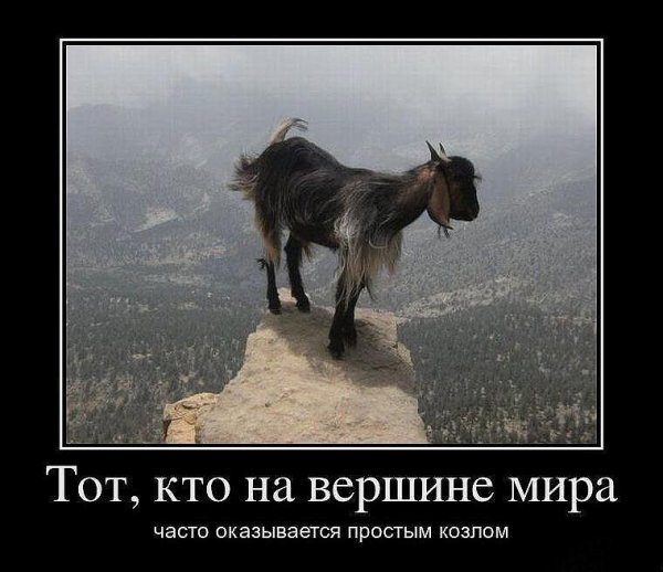 Демотиваторы про жизнь