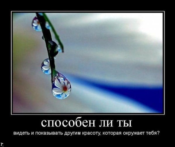 Демотиваторы про жизнь