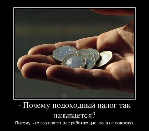 Афоризмы про налоги смешные